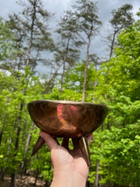 Mistletoe From the Druids to the Modern Witch